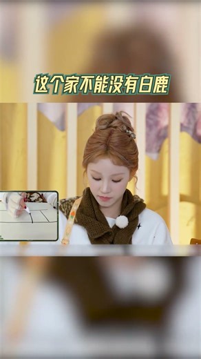 这个家不能没有白鹿 #奔跑吧 #奔跑吧天路篇