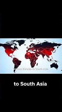 Tracing Slavic Roots The Power of Y Chromosome Haplogroups Explained!