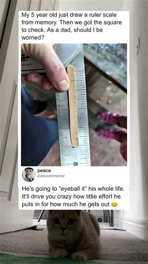 His son drew a ruler scale from memory
