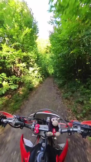 just in the dirt.. #motovlog #bikes #tik_tok #funny #dirtbike