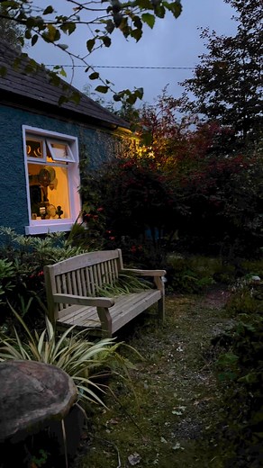 7.5K views · 609 reactions | Giant Fuchsia Tree! | Bealtaine Cottage | Facebook