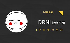 DRNI控制平面（2）