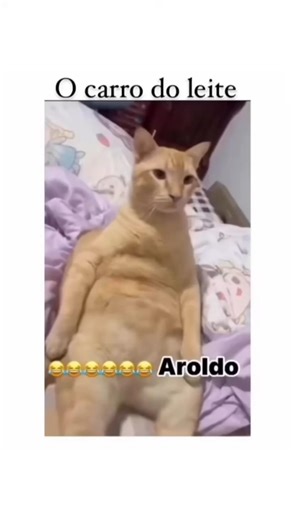 TRY NOT TO LAUGH 😹🐶 #funnyanimals #memes #cuteanimals #dog #funnypets #funnydogs #pets