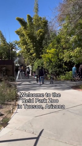 Meet Animals From Around the World at Reid Park Zoo in Tucson, Arizona