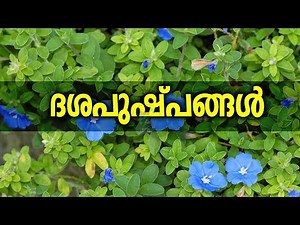 ദശപുഷ്പങ്ങൾ ഏതെല്ലാം എന്തിനെല്ലാം | Dashapushpam And Their Medicinal Values