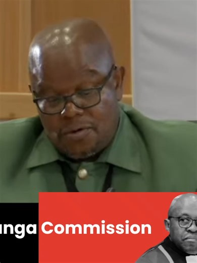 Maj. Gen. Senona testifies he advised Vusumuzi Cat Matlala on security for his VIP protection company and