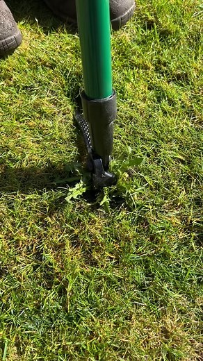 4.3K views · 26 reactions | Landzie weeder #lawncare #landzie #weeding #satisfying #checkitout Follow me more . #usa #reels #trending #cleaning #drain #spring #shorts #viralvideo #viralpost #working #nature #gardening #satisfying #asmr #asmrsounds #craft #tools #foryou #work #workout #workfromhome #lawn #grass #lawncare #lawnmower #garden #gardening #overgrown #overgrownyard #cleaning | Our Old Houses & Barns | Facebook