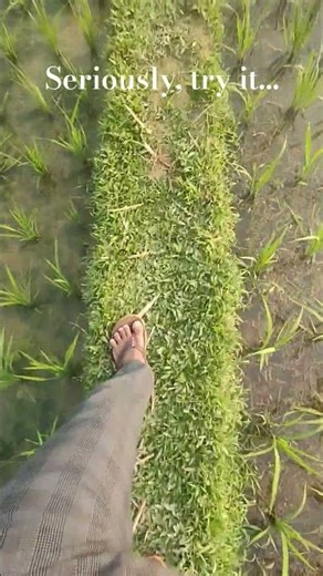 Seriously, try it... #funnyshorts #shorts #trending #locomotionvlogs #viral