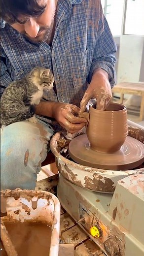 Cats & Humans Bond ♥️#viral #cat #trending #catvideos