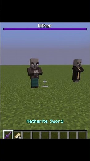 Minecraft with max enchanted sword ☠️💀
