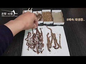 초간단 청개비, 갯지렁이, 혼무시 염장법. 원투낚시 미끼 만들기. 남은 미끼 재사용하기