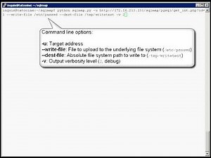 Official sqlmap video demonstration 7
