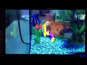 Disney Channel promo finding Nemo