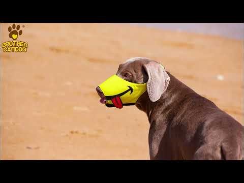 High-quality and adorable dog mask that effectively prevents dogs from barking.