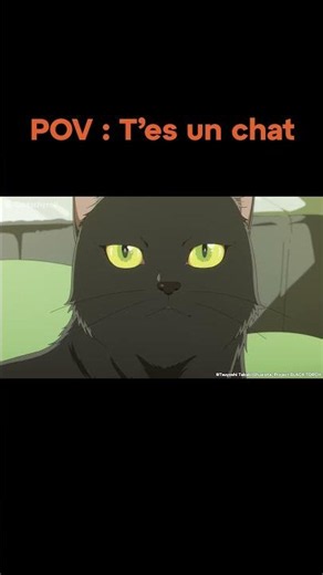 Une vraie voix de matou | BLACK TORCH - VF