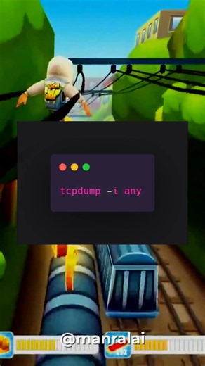 Spy on all network traffic with one command. 🔥