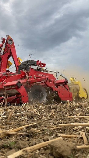 Déchaumeur à disques TERRADISC 6001 T de PÖTTINGER 🍀 à l'oeuvre dans les chaumes de colza 👌 | PÖTTINGER
