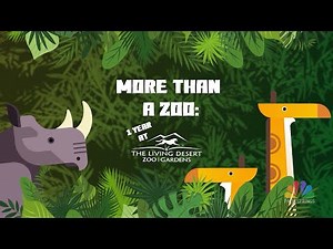 More Than A Zoo: 1 Year At The Living Desert