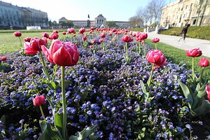 Five Places You Must Visit During Spring in Croatia - Total Croatia