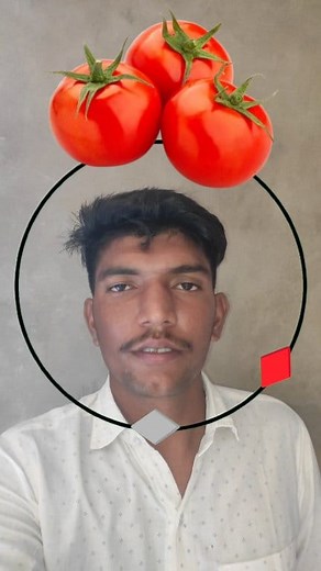 Tomato 🍅 vs Onion 🧅 Puzzle 🧩 game challenge #tomatoes #onion #tomato #onionchallenge#puzzle #viral #reels #game #fbreelsfypシ゚viralシ #fbreelsfypシ゚ #challenge | circle challenge