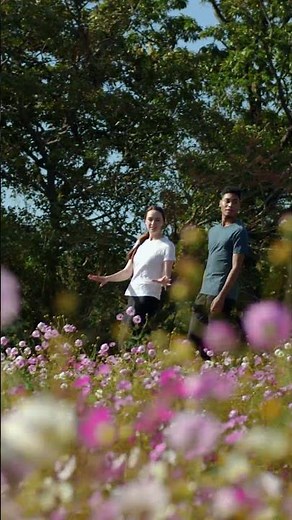 阿蘇くじゅう | その自然には、物語がある | 日本の国立公園