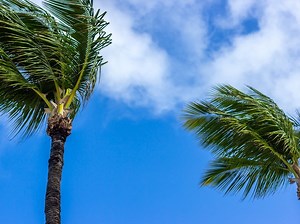 Wind Gusts To 40 MPH Forecast For Coastal Areas: NWS Issues Advisory