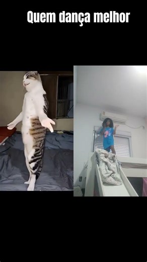 12 de fevereiro de 2026