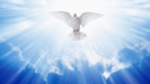 Billy Graham Classic Crusades 25