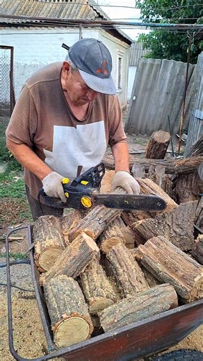 timber cutting #diy #woodworking #woodcutting #wood #handtools #homestead #shorts #naturalwood