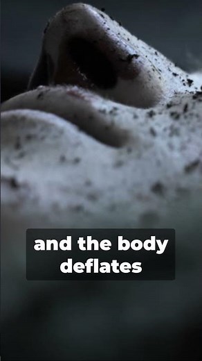 Decomposition: The Afterlife Journey