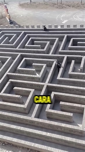why do they dare to enter the maze!#shortvideo