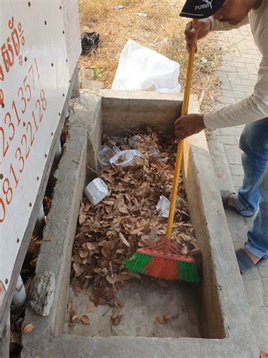 Cleaning an Abandoned Fish Pond: A Step-by-Step Guide