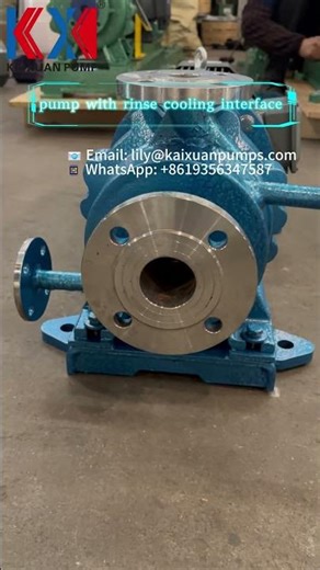 Magnetic chemical pump with rinse cooling interface