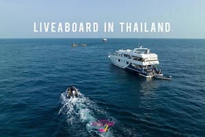 “Liveaboard in Thailand” Thailand offer a wide range of dive sites to satisfy all types of preferences for beginners to experienced divers, and from a fun snorkerling trip to a challenging scuba diving excursion. The diving programmes in Thailand vary from a one-day trip to a multi-day diving trip where divers stay on a liveaboard. The facilities on a liveaboard boat inculde comfortable accommodation, food and beverage, tanks, weight belts, and professional dive guides. In Thailand, there are ma