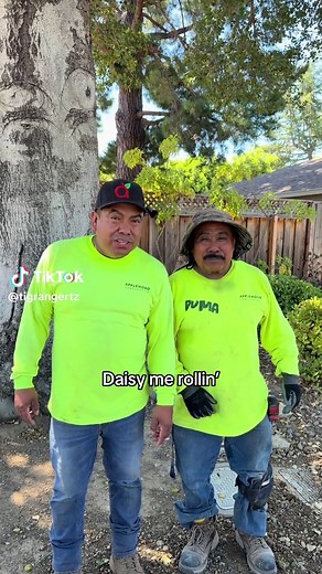 They See Me Rollin' — The Boys Rollin' TikTok Moments