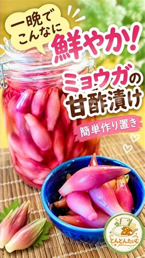 【一晩で鮮やか！】ミョウガの甘酢漬け｜簡単作り置き