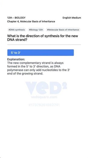 DNA Synthesis Direction Biology 12th Molecular Basis of Inheritance