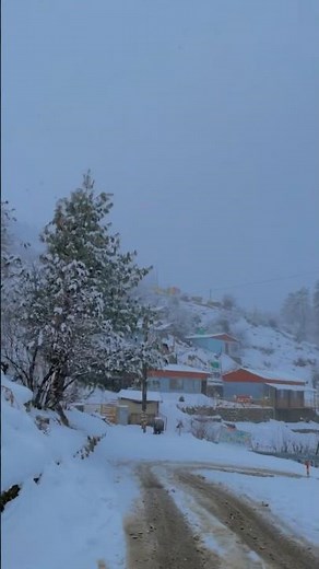 ❄️Auli turned into Winter Paradise🏔️Snowfall + Mountains= Pure Magic🏝️#auli #snowfall #uttarakhand