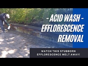 How To Remove EFFLORESCENCE Staining | Using An Acid Wash