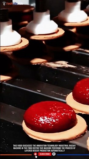 Innovation Technology Industrial Biscuit Machine: Automatic Layered Biscuit Production. #tech