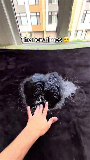 Enjoy the new times with our blanket 🥰