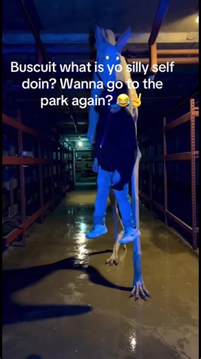 Biscuit The Dog's Park Adventure