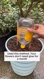 7.2K views · 29 reactions | DIY Automatic Watering #garden #gardening #plants #planting #planthacks #gardenhacks #gardeningmakemehappy #gardeningtips #gardeningideas #gardeninspiration #gardenlove | Gardenning Moment | Facebook