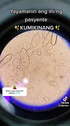 Clinical Microscopy: Exploring the Fascinating World of MedTech Life