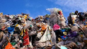 Food waste filling up US landfills, creating most harmful greenhouse gas, EPA data shows
