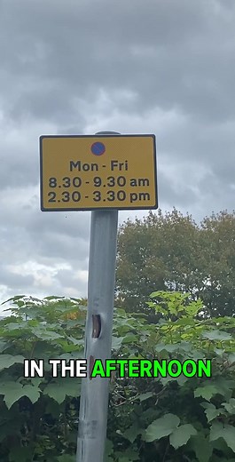 Understanding Road Markings: No Stopping Rules Explained