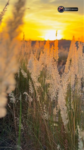 Cinematic | motion effect | 4k60fps video | how to make cinematic video #cbeditzabhijeet #cinematic