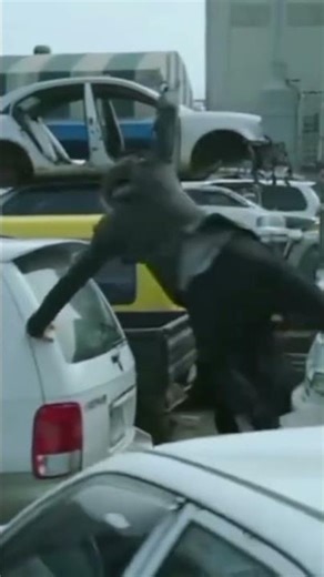 Subscribe #subcribe #fypシ゚viral #kpop #kdrama #movie #koreandrama #kdramaedit #usa #uk #southkorean