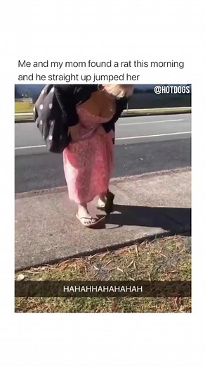 Ratas saltando en la gente: reacciones divertidas