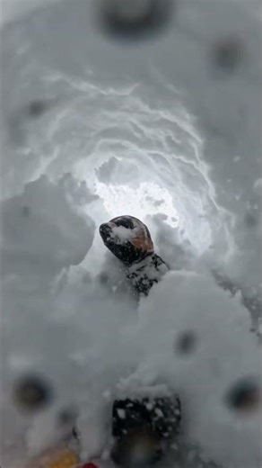 Caught in a live avalanche #avalanche #skiing #extreme